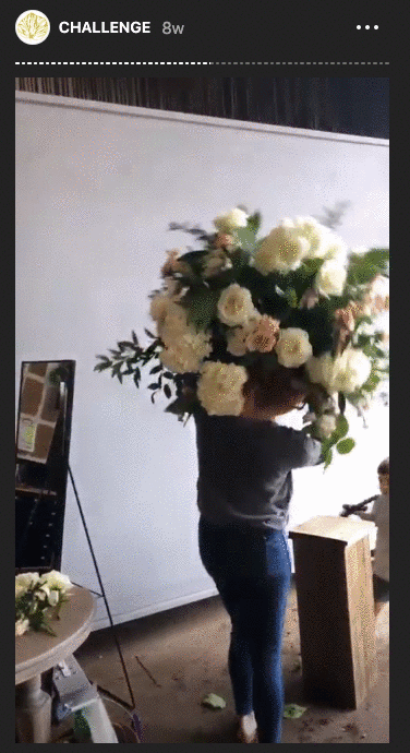 Mayhem challenge Sweet Root Village Curate top rated florist software details flowers software Mayhem challenge Sweet Root Village Curate top rated florist software details flowers software