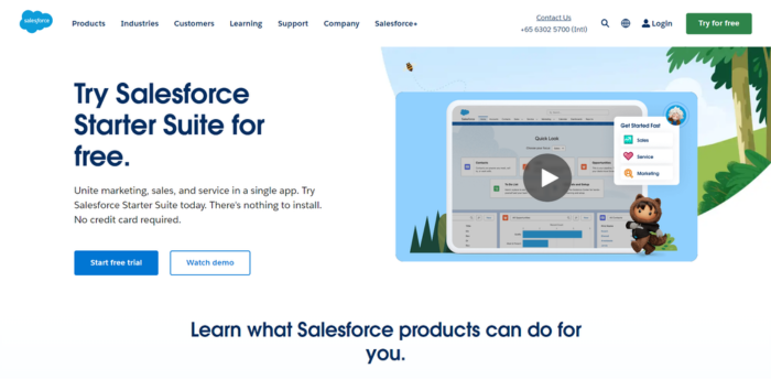 Salesforce home page