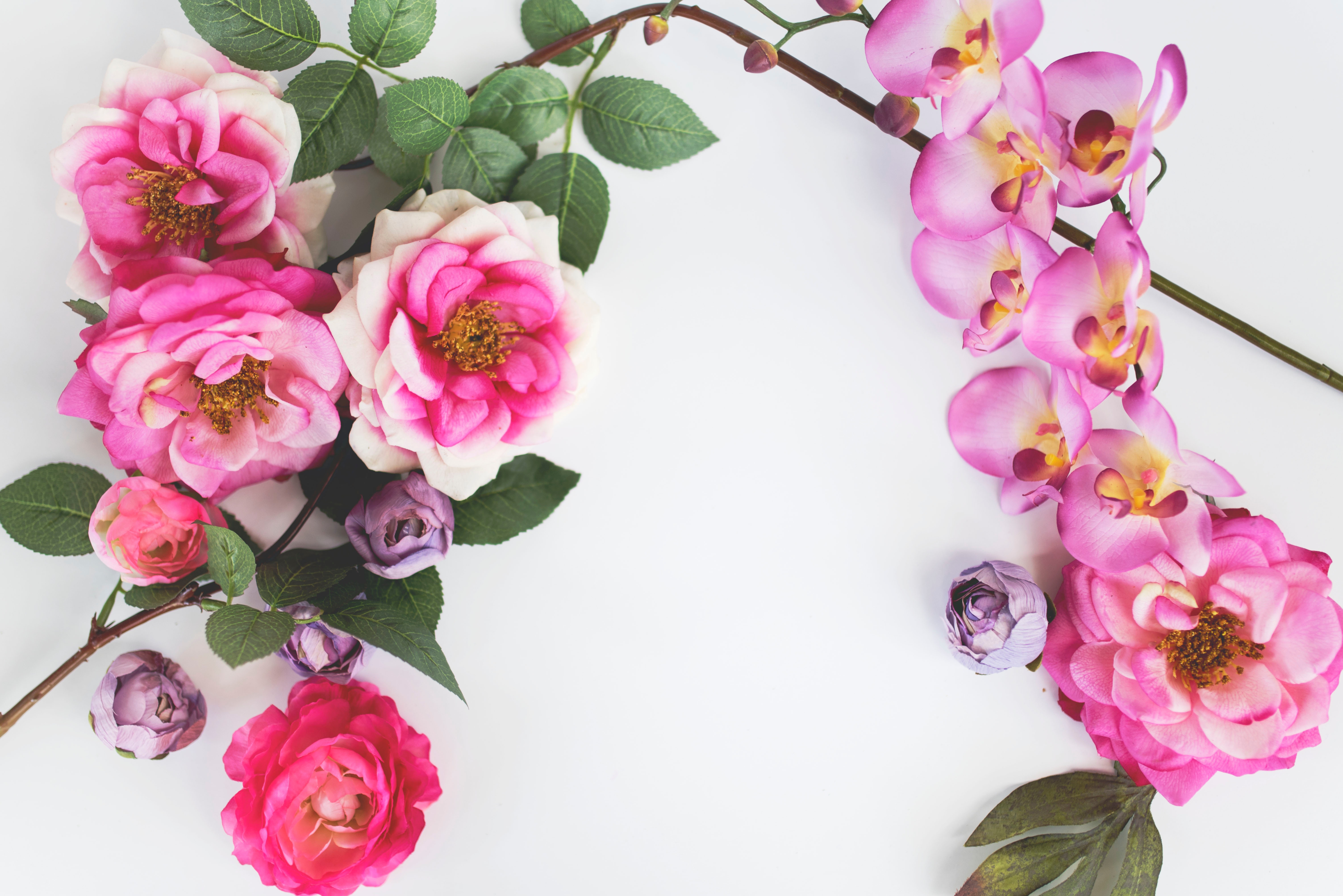 Best Procurement Practices For Mass Market Florals